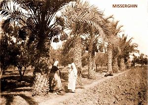 Misseghin 521